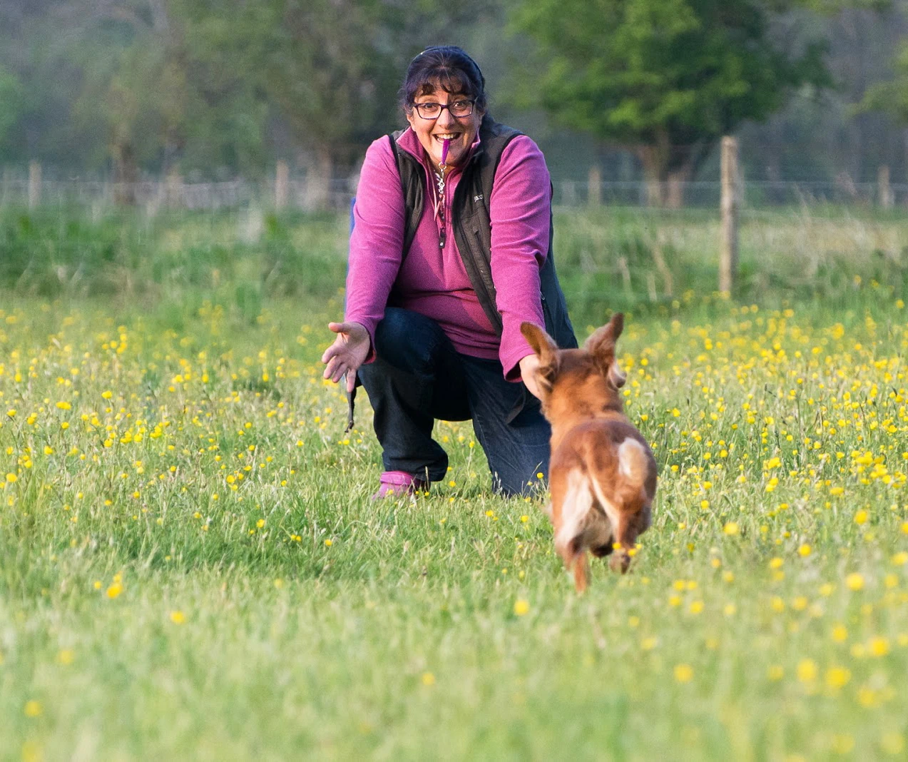 Janet Ardley, owner of Cumbria Dog Training